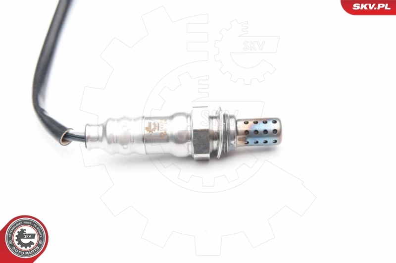 Oxygen Sensor